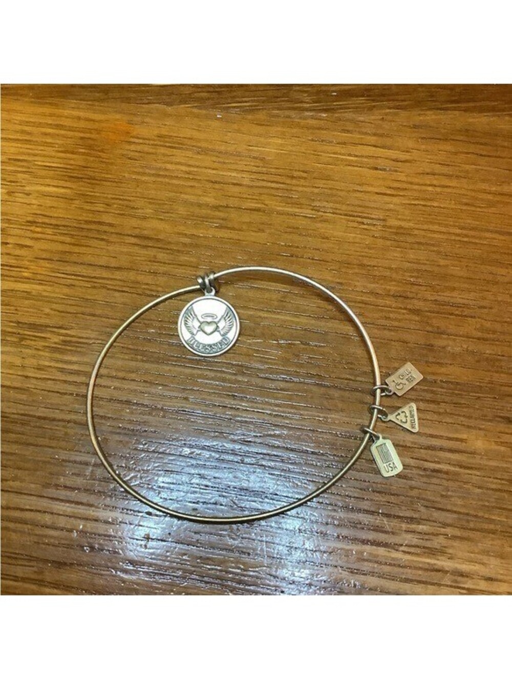 Wind & Fire Blessed Charm Bangle Expandable Bracelet Silver Tone Gift
